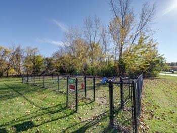 New dog park